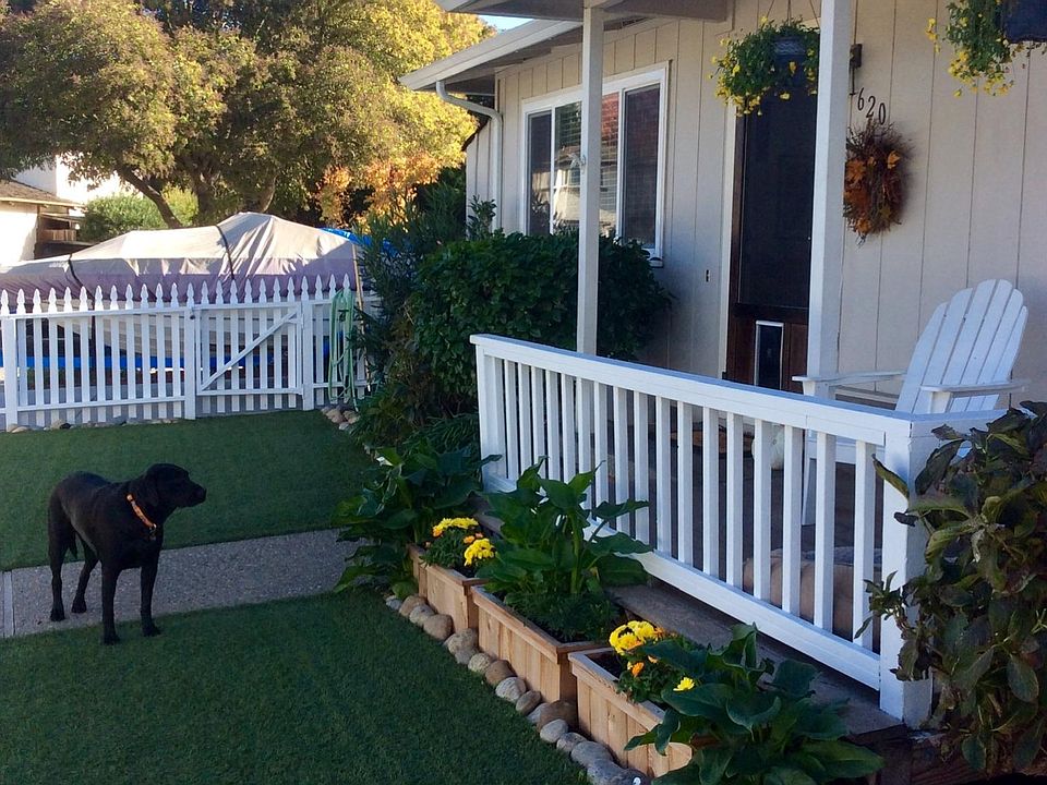 Watch your dog play from an Adirondack on the front porch