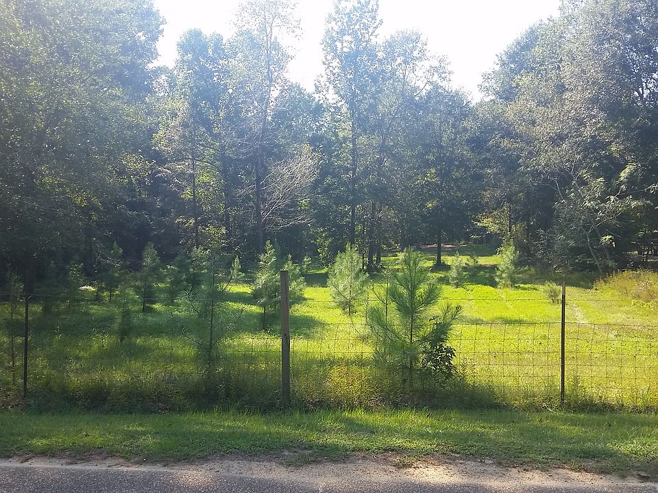 2nd image of 81 Forest Barnes Rd