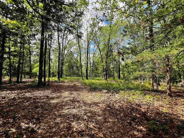Fee Hollow Ter, Yellville, AR 72687