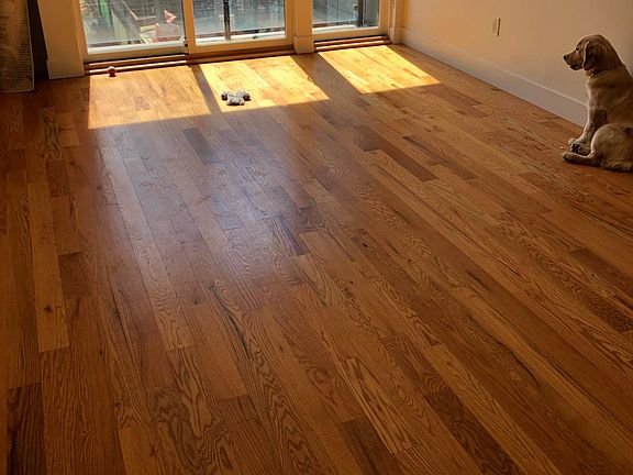5th image of 236 W Thompson St Unit B306