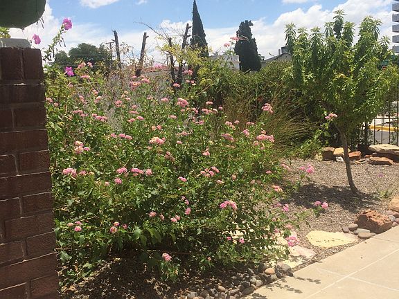 FrontDoor looking at Stanton