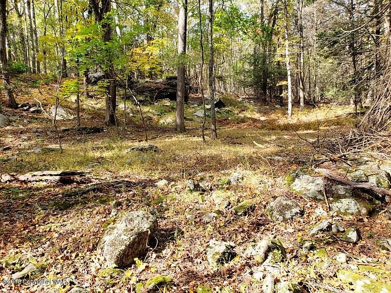 1st image of 1239 Sylvan Ln