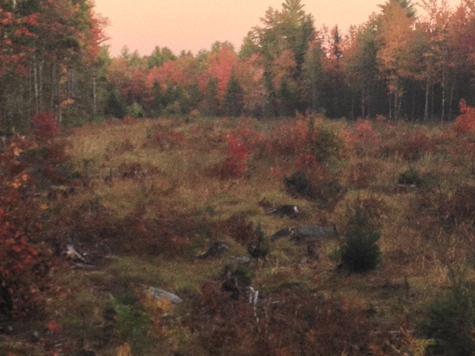 2nd image of Half Mile Rd