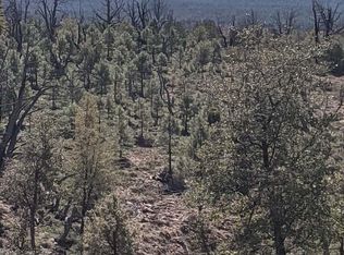 41&42 E Antelope Trl, Payson, AZ 85541