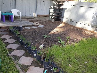 2nd image of 12604 SE 42nd St
