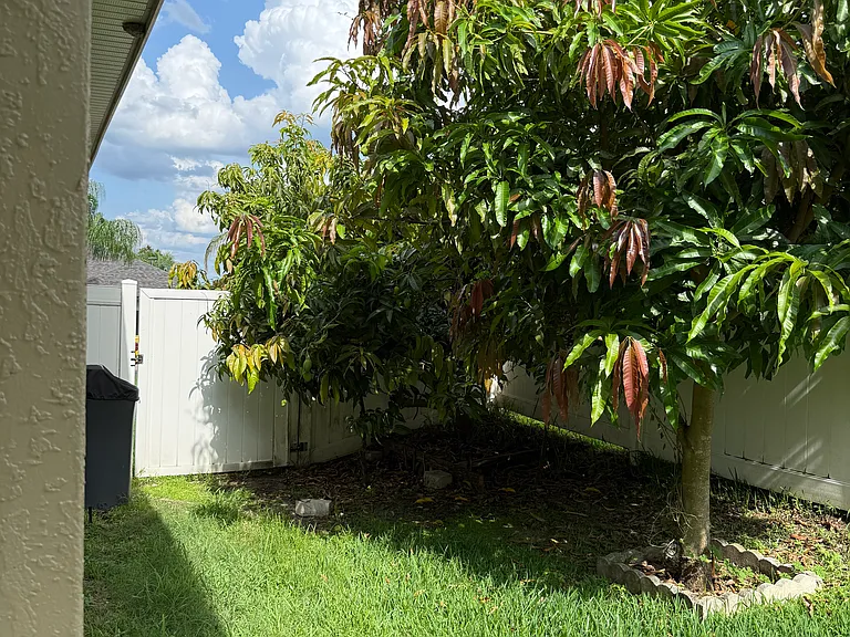 5667 Vintage View Ave — Photo 19