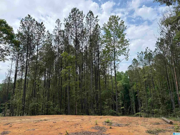 343 County Road 892 #3, Wedowee, AL 36278