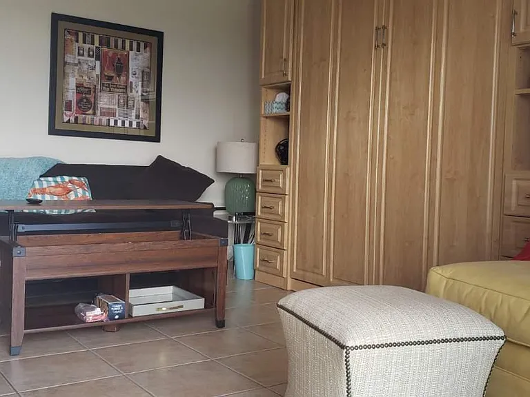 Sofa and a Wall Murphy queen bed.