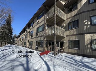 8269 Highway 51 Unit 1012, Minocqua, WI 54548