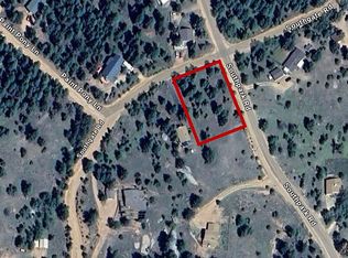 162 Southgate Rd, Florissant, CO 80816