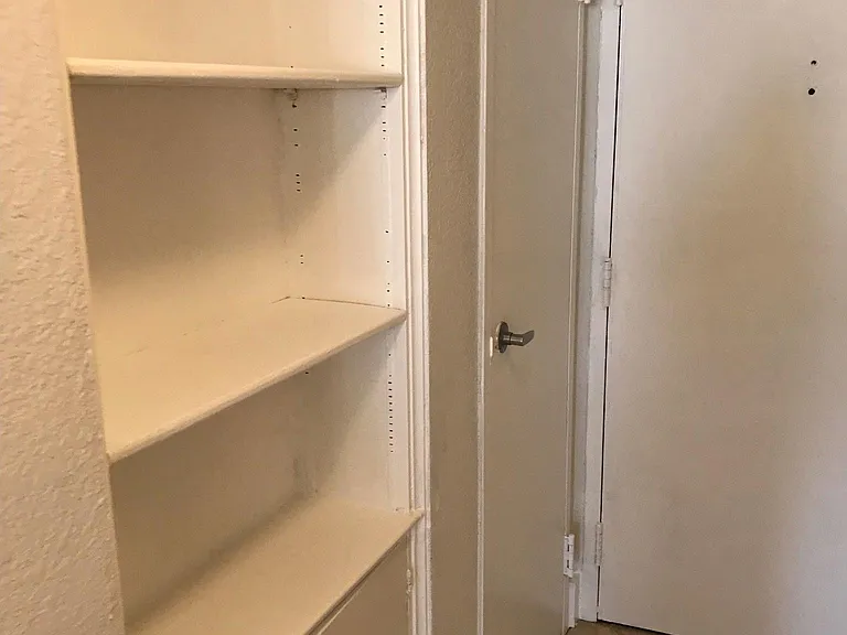 Entry Hall storage closet and shelving