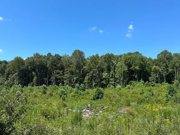 TRACT 12 Dykes Hollow Rd Lot 12, Tracy City, TN 37387