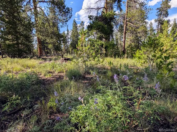 511 Spruce Drive, Twin Lakes, CO 81251