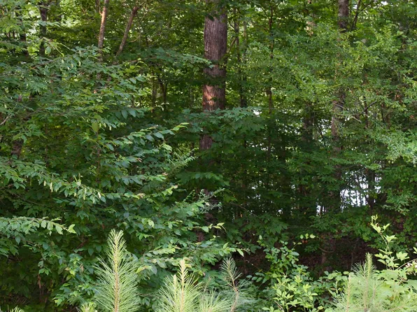 0 Waldrop Rd #0, Ashville, AL 35953