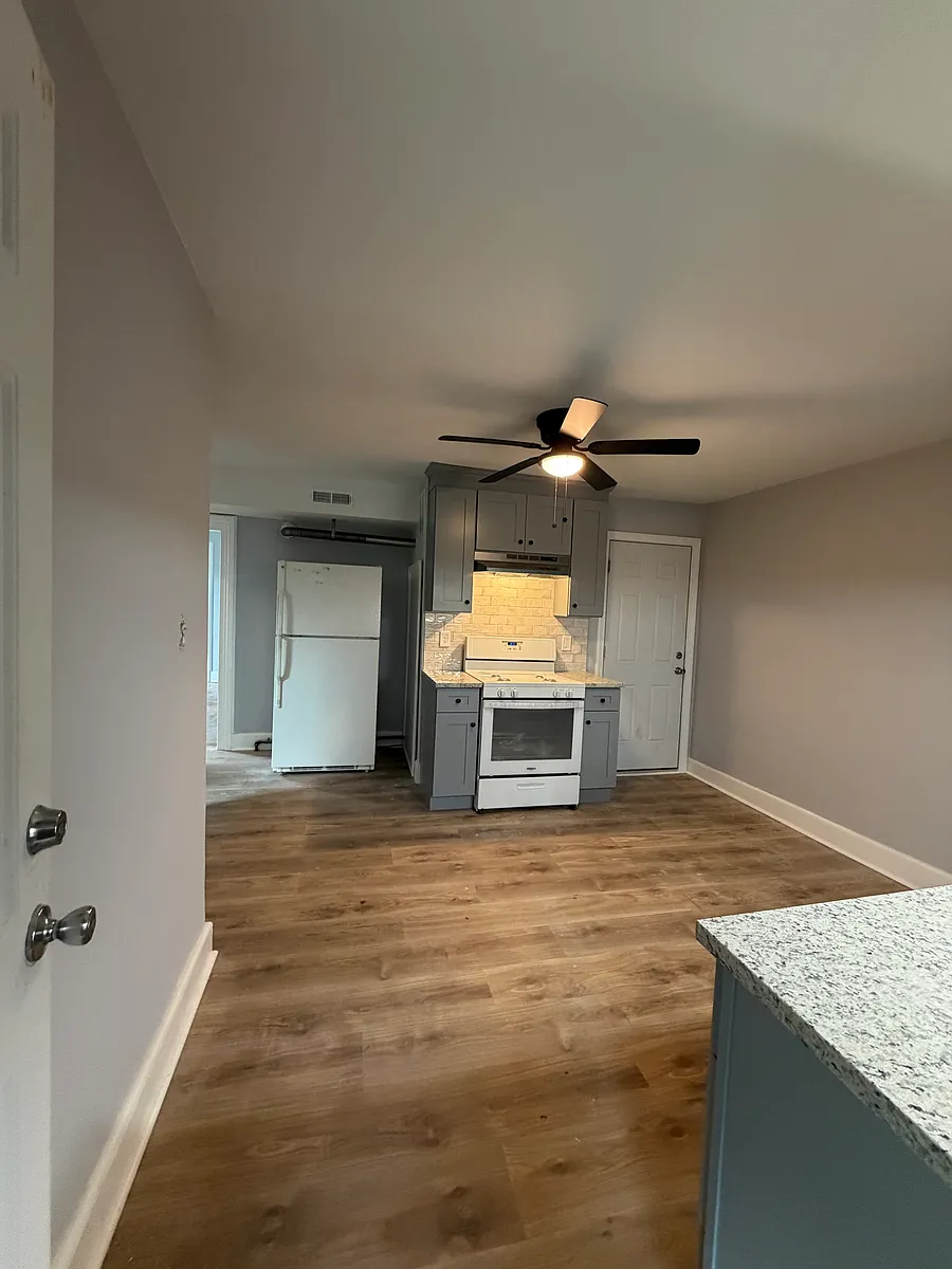 Kitchen with new cabinets, backsplash, granite countertops, and new flooring. - 56 Aetna St #2B