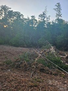 4957 Timothy Twitchell Dr, Milton, FL, 32583