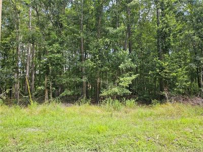 Nelsons Ct, Hardeeville, SC, 29927