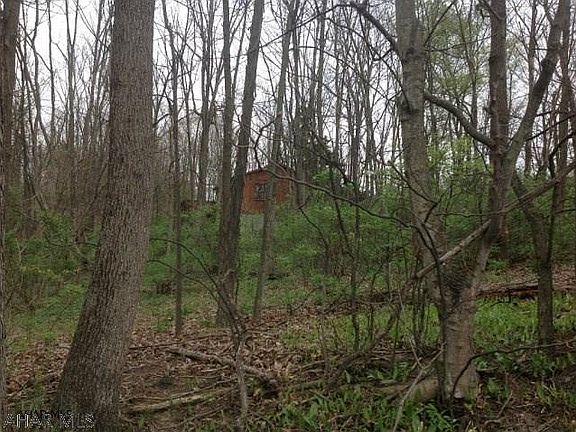 5th image of 238 Louella Dr