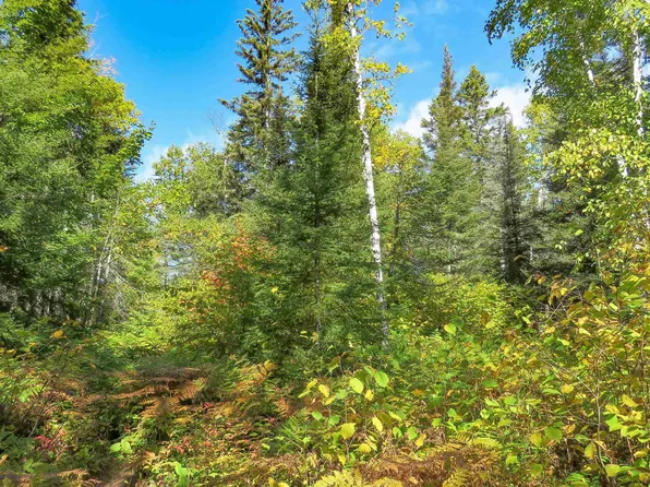 435 Cramer Rd, Schroeder, MN 55614