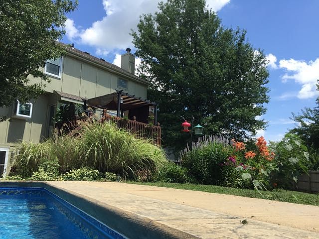 from the pool!