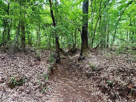 4th image of County Road 4504