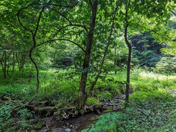 LOT 9 Lone Star Rd, Bristol, VA 24202
