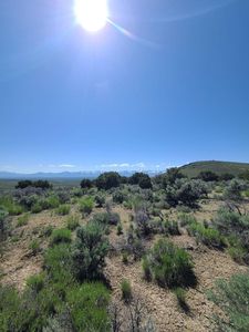 Nevada Ave, Spring Creek, NV, 89815