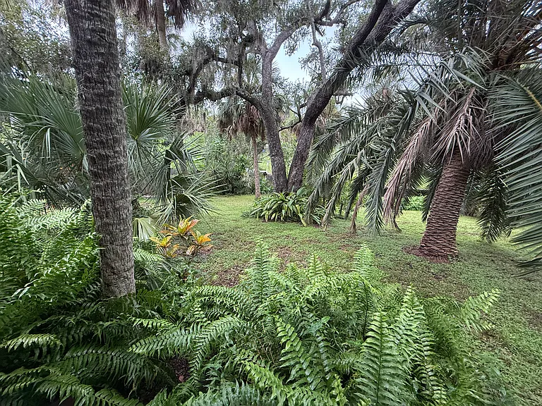Back yard overlooks Whitaker Bayou and includes a fire pit area (not shown)