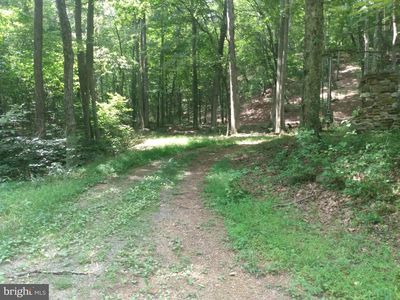 578 Rouse Mountain Rd, Great Cacapon, WV, 25422