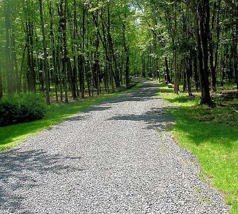 650' tree lined private drive