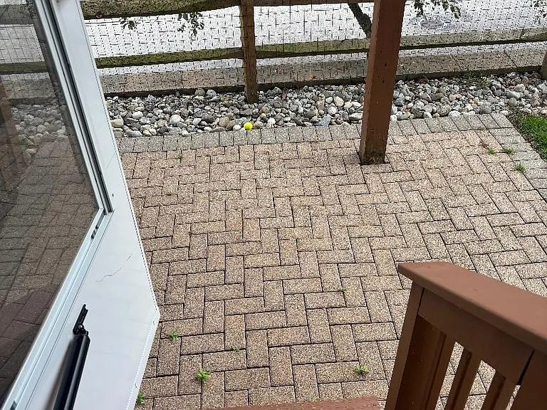 420 Lynrose Ct — Photo 28