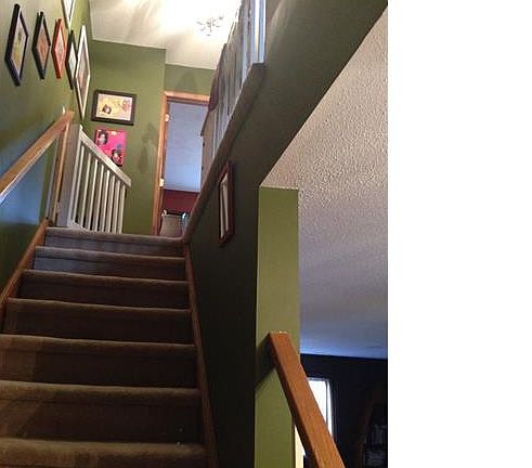 4th image of 303 Misty Hills Ln