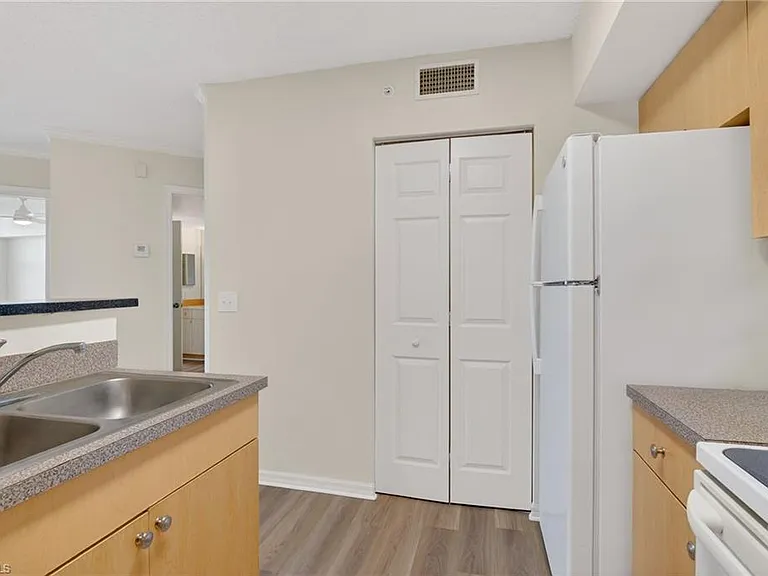 8754 River Homes Ln #8206 — Photo 8