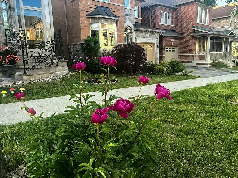 26 Hua Du Ave — Photo 1