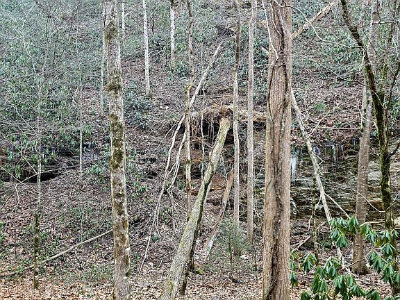 4th image of N Clear Fork Rd