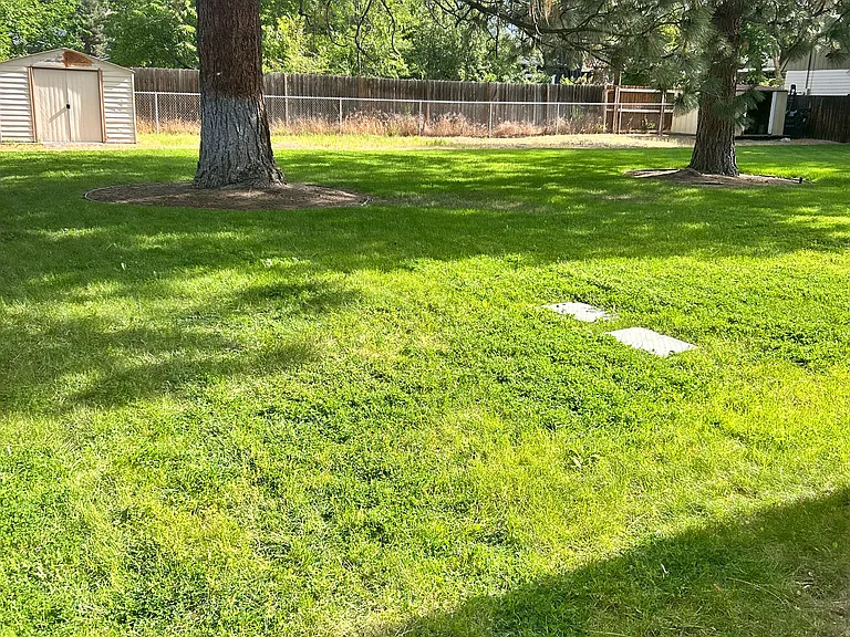 Large backyard