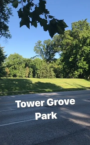 View from the front yard