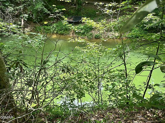 5th image of TRACT 8 Woods Ridge Rd