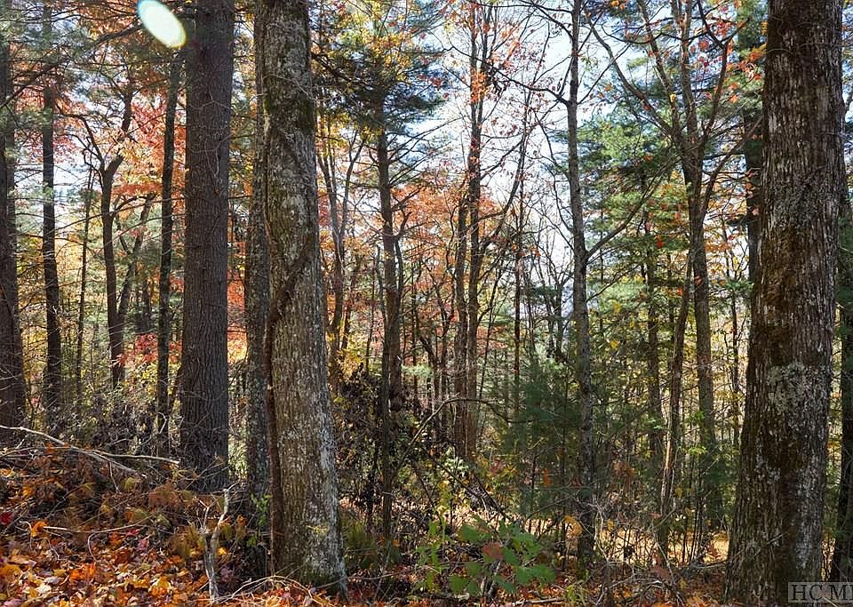 2nd image of unknown Silly Ridge Road