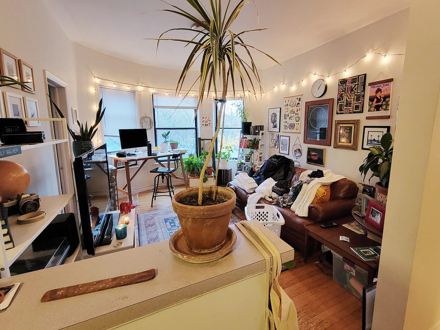 1 bed, 650 sqft, $1,995 — Photo 2
