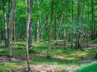 Yana Ln, Albrightsville, PA 18210