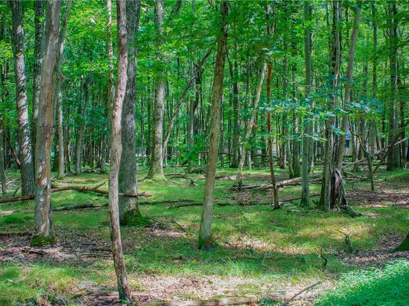 Yana Ln, Albrightsville, PA 18210