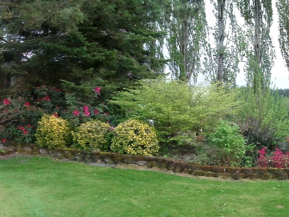 Spring colors