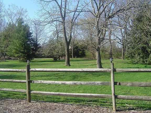 Rear yard