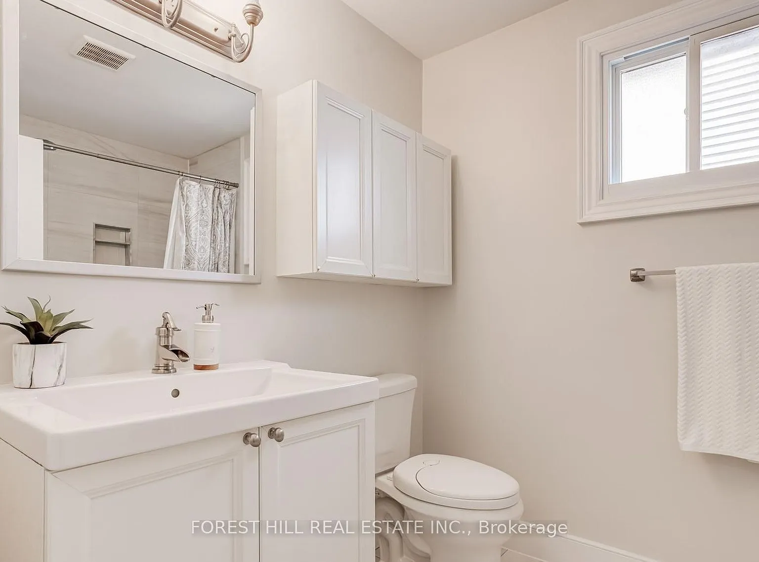 1 bed, $850 — Photo 3
