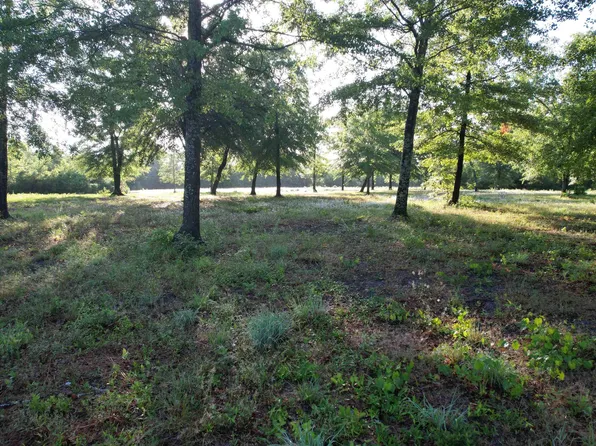 10 Acres - TBD Cohen Dr., Hemingway, SC 29554