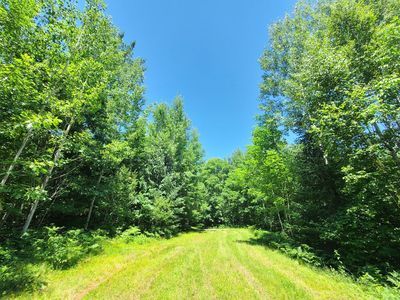 Simon Rd #78ACRES, Fifield, WI, 54524