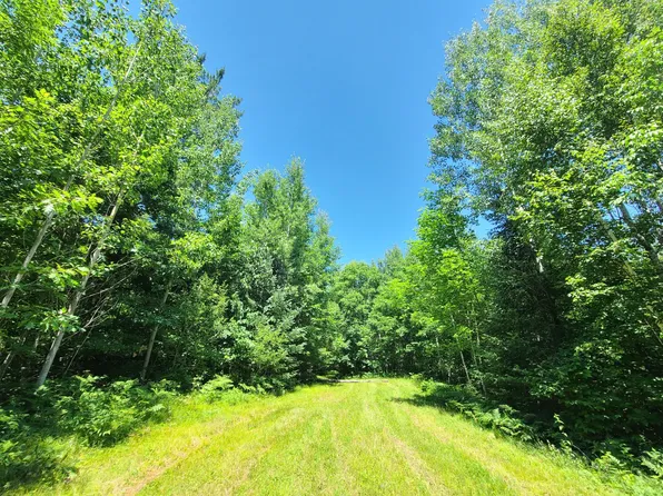 Simon Rd #78ACRES, Fifield, WI 54524