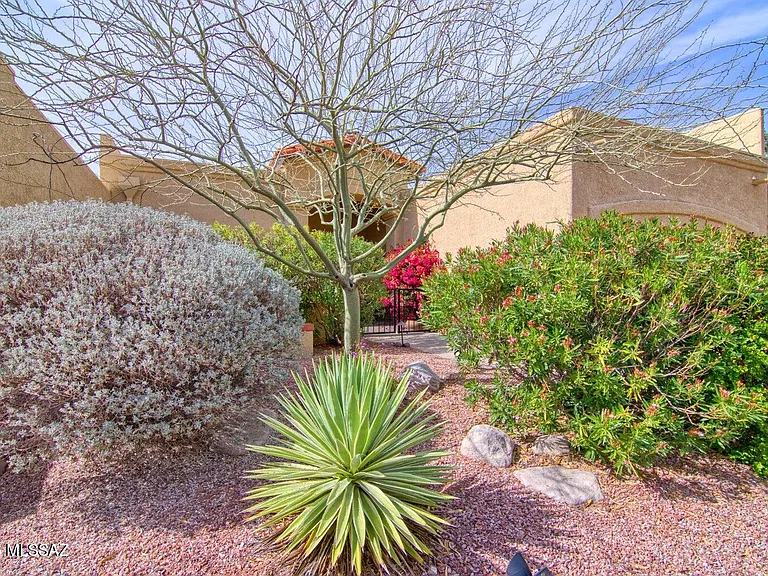 1232 E Camino Diestro — Photo 4