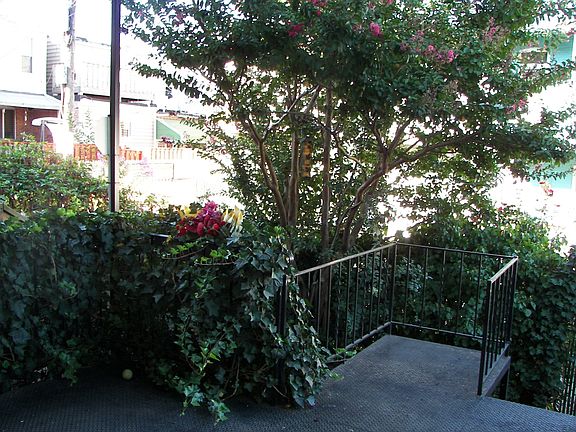 Summer Shade in Back